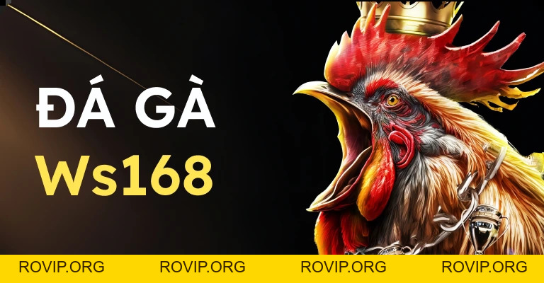 Expand - ROVIP.ORG