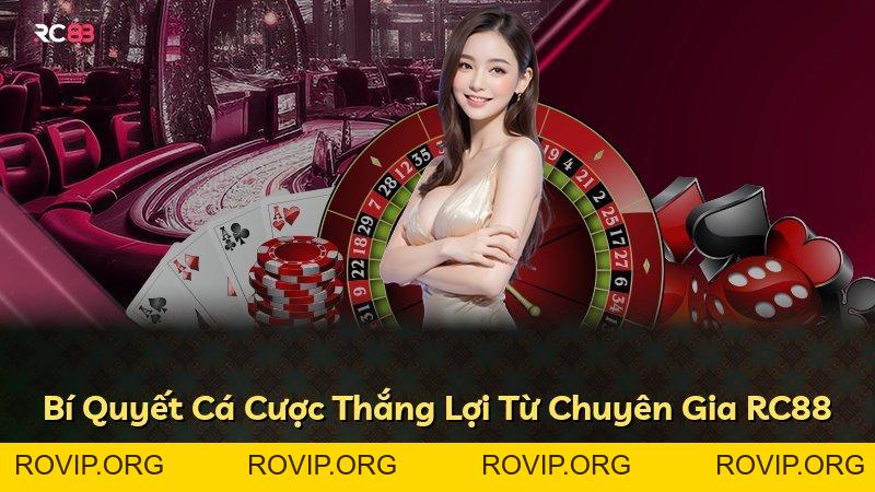 Expand - ROVIP.ORG