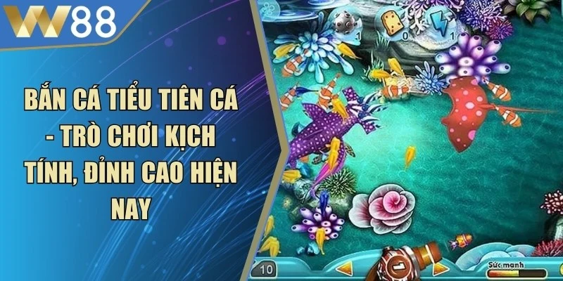 Bắn Cá Xèng - Săn Đuổi Sinh Vật Biển, Thu Về Kho Báu Lớn - ROVIP.ORG