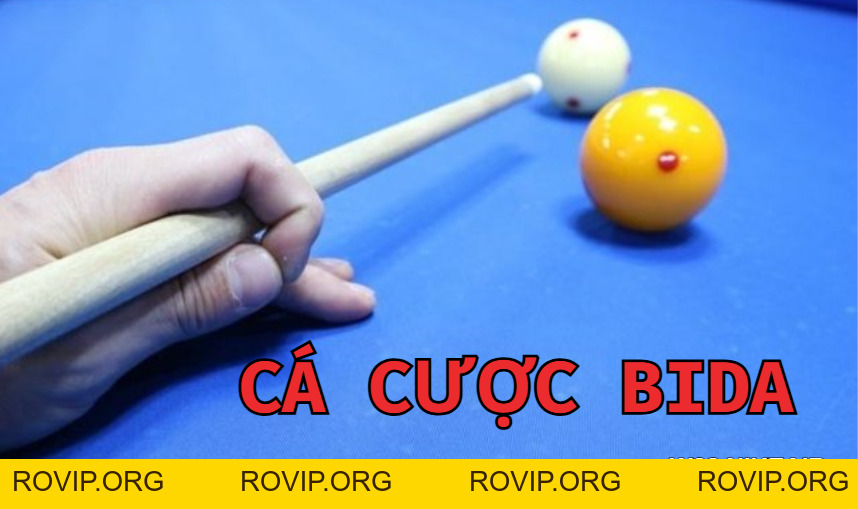 Hướng Dẫn Cá Cược Bida W88 Tại Nhà Cái Uy Tín Chính Xác Nhất - ROVIP.ORG