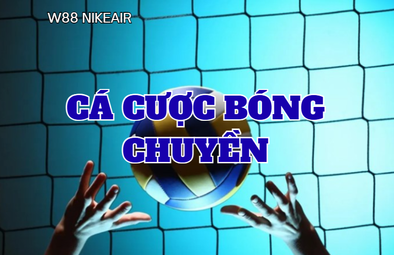 Mẹo Đọc Kèo Cá Cược Bóng Rổ W88 Thắng Lớn Từ Chuyên Gia - ROVIP.ORG