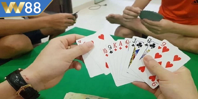 Cách Chơi Bài Câu Cá - Mẹo Thắng Nhanh Từ Chuyên Gia - ROVIP.ORG