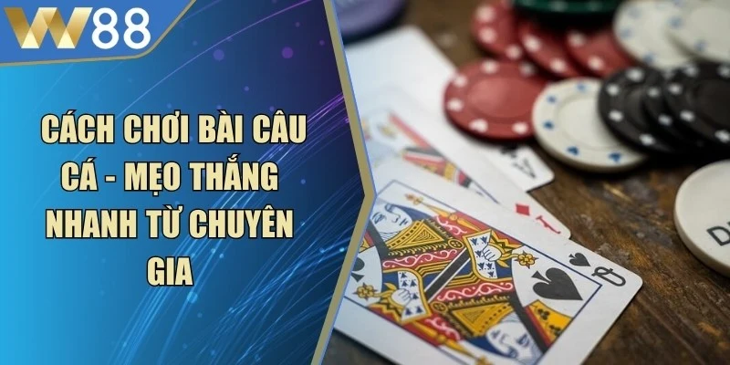 Bài Mậu Binh - Chiến Thuật Hay Từ Các Cao Thủ Hàng Đầu - ROVIP.ORG