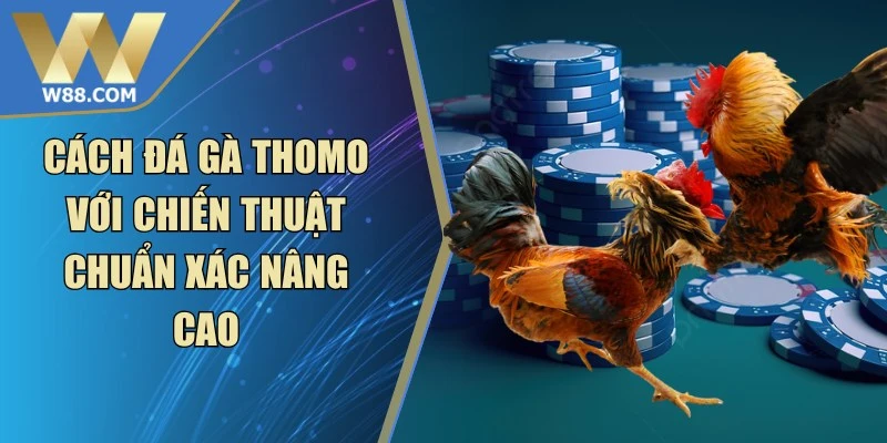 Đá Gà Campuchia - Trò Chơi Giải Trí Hiện Đại Kịch Tính - ROVIP.ORG