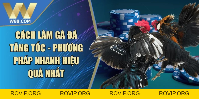 Đá Gà Thắng Lợi Nhờ Chiến Thuật Thông Minh Và Linh Hoạt - ROVIP.ORG