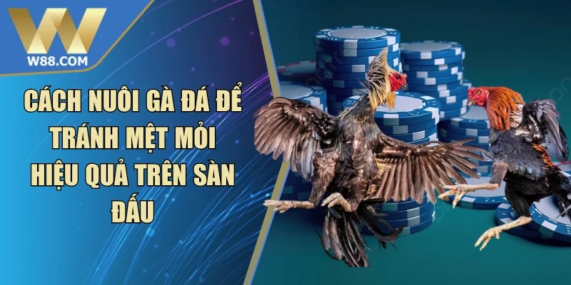 Cách Làm Gà Đá Tăng Tốc - Phương Pháp Nhanh Hiệu Quả Nhất - ROVIP.ORG