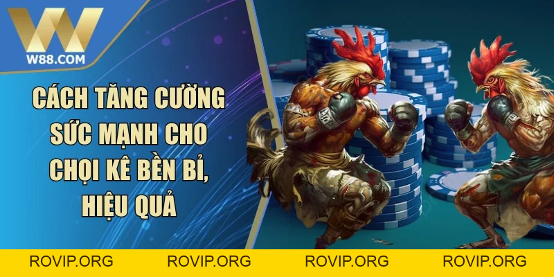 Đá Gà W88 - W88 - ROVIP.ORG