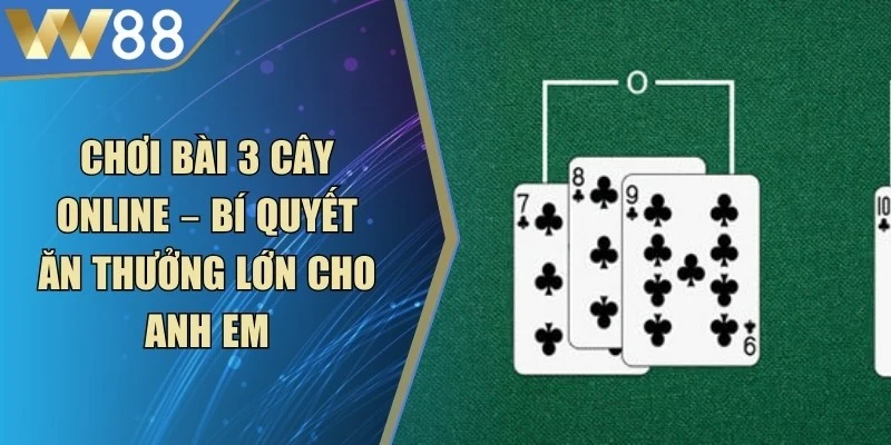 Cách Chơi Bài Tấn Chi Tiết, Hiệu Quả Cho Moi Tân Binh - ROVIP.ORG
