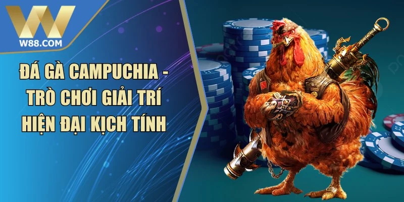 Cách Đá Gà Thomo Với Chiến Thuật Chuẩn Xác Nâng Cao - ROVIP.ORG