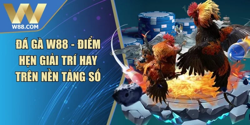 KẾT QUẢ THI ĐẤU NGÀY 17/11 | VÒNG BẢNG | AIC 2026 - ROVIP.ORG