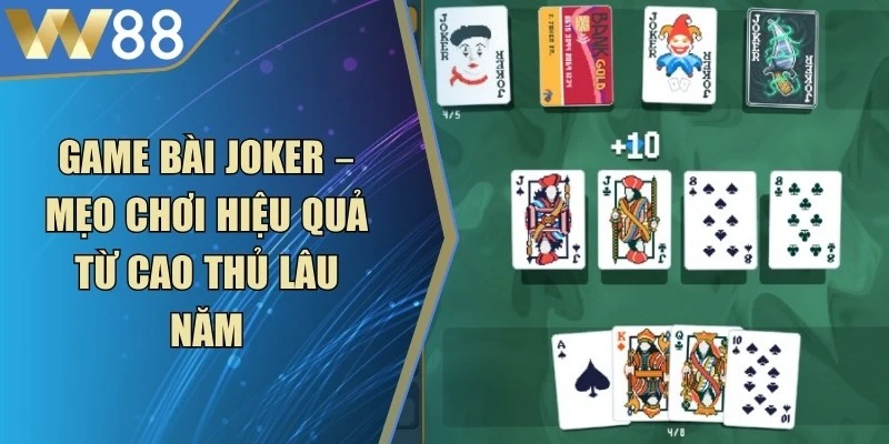 Cách Chơi Catte Thắng Lớn Từ Các Cao Thủ Hàng Đầu - ROVIP.ORG