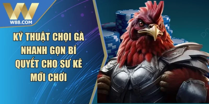 Đá Gà Cựa - Khái Niệm Các Loại Cựa Và Luật Thi Đấu - ROVIP.ORG
