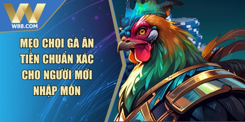 Đá Gà W88 - W88 - ROVIP.ORG